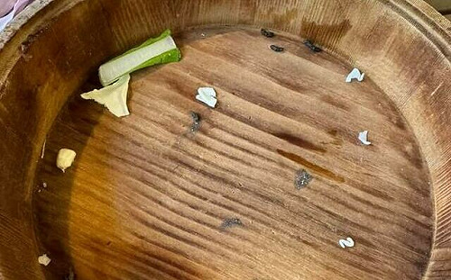 知名火鍋店菜盤疑沾老鼠屎 顧客PO網控訴！總公司回應：誤用淘汰餐具 