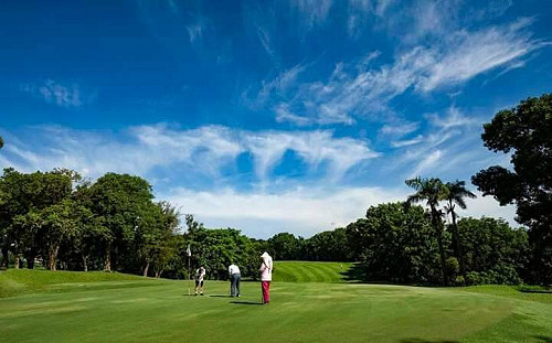 高雄高球場遭占用違法使用農藥  高市府決依法收回改做公園