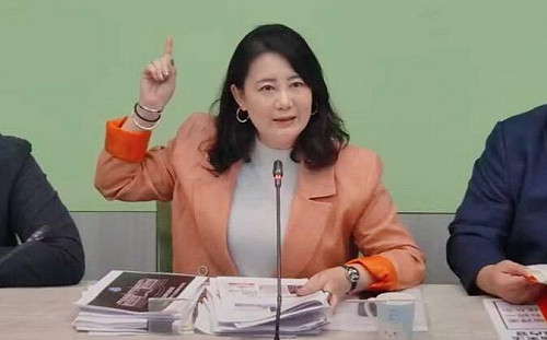 藍委為國會擴權告洋狀  綠黨團暖喊:回到國會修法勿貽笑國際