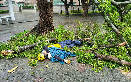 強颱康芮猛襲台北！8人受傷送醫 工人搶修不慎受傷