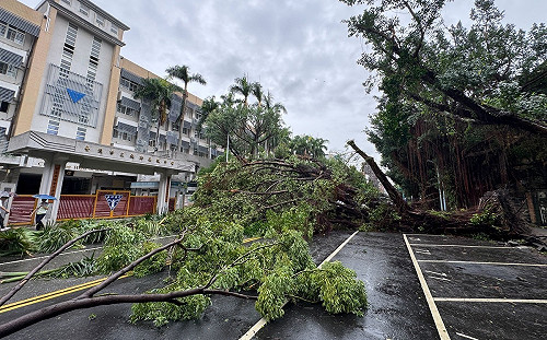 北市上班課如大型障礙賽　里長嘆：應參考上次高雄多放一天假