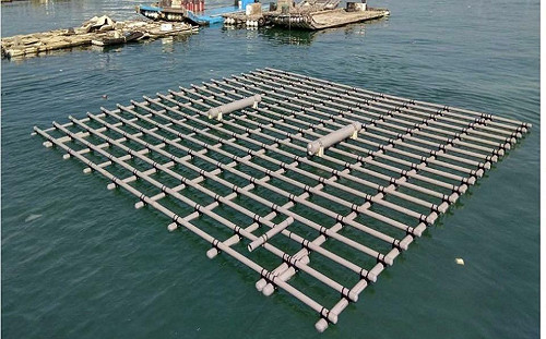 南市府積極爭取中央完成區劃漁業權  提供漁民及蚵民完善災後補助