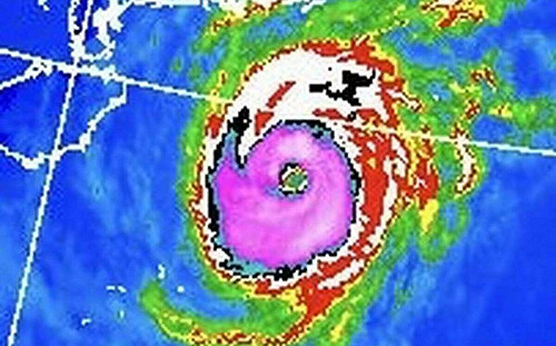 銀杏威力驚人！鄭明典曬圖驚呼：還是很完整的中度颱風