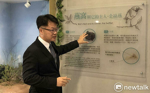 森林裡的燕屋  新百祿燕窩觀光工廠沉浸式環境展現生態共好的燕窩環境