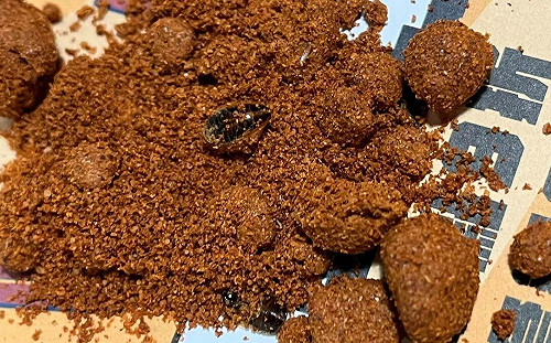 噁！頂呱呱辣椒粉驚見蟑螂  北市衛生局介入調查