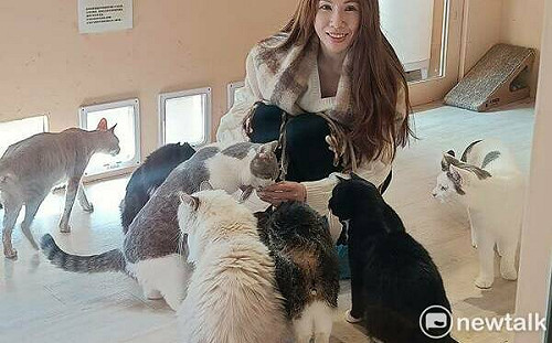 收養流浪病貓讓他去不成東京巨蛋 寒流來襲希塔療癒師發起愛心捐助