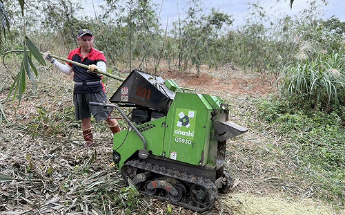 廢棄老竹粉碎再利用 新北綠竹筍永續經營