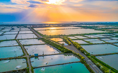 搧海風吃海味「高雄海線潮旅行」  成團即補助4500元  