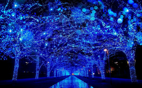 耶誕跨年限定！東京「4大光雕燈飾」一次看