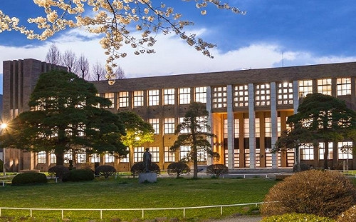 日本研究發現改善脂肪肝機制 同時有助抑制體重