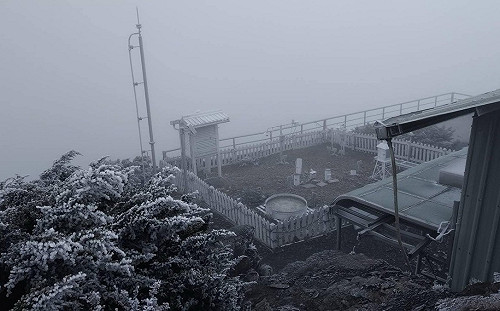 冷氣團襲清晨低溫零下2.4度  玉山降霜與霧淞美景曝
