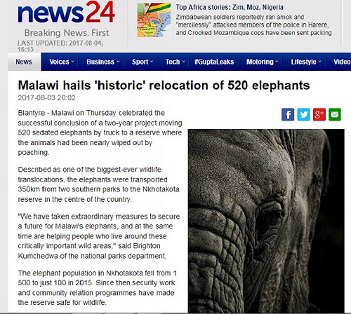 創紀錄！馬拉威2年為520隻大象搬家