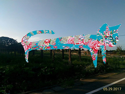 棚架上的巨貓 好奇的牠，要幹嘛？