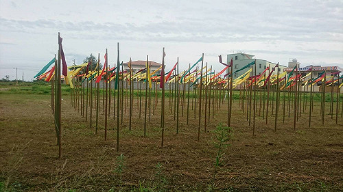 走過才知桃花源  漫歩楊梅壢藝文風景