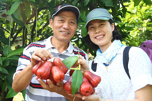 深度旅遊盛行  老外觀光客樂當一日農夫