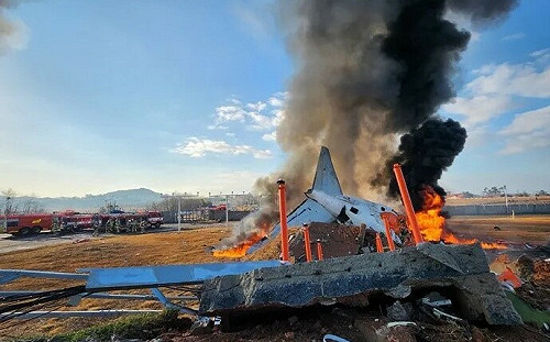 鳥擊釀災?南韓濟州航空難初步調查公布  客機兩側引擎存鳥羽毛、血跡