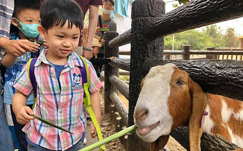 跨年狂歡後何處去？高市觀光局推元旦一日遊程攻略