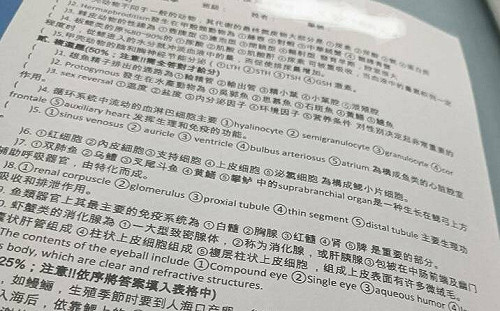 遭爆試卷使用簡體字  高科大：會加強相關宣導  