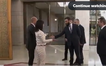 (影) 政權變天了 歧視依然根深蒂固! 德外長到訪 敘拒握她的手 還罵少數族裔是「豬」