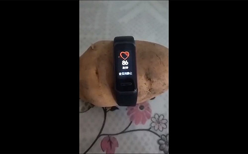 (影) 馬鈴薯竟有「心跳」！ 華為智能手環疑做假 網笑 : 還活著 吃它就是殺生....