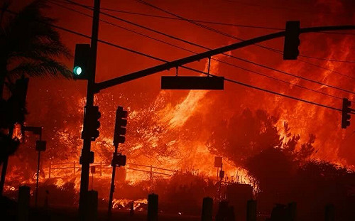 洛杉磯野火台灣辦事處捐1萬口罩 慈濟第一線馳援