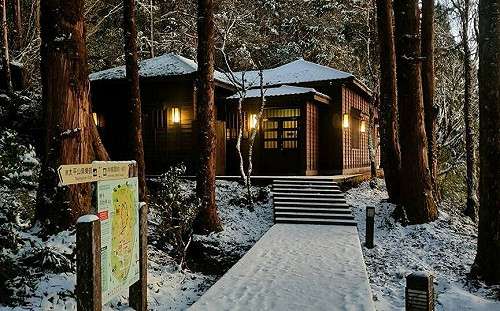 低溫零下2度！太平山園區成超美銀白世界 古道染厚厚糖霜