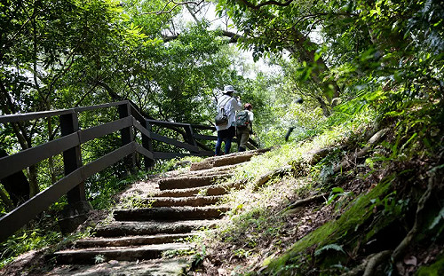 過年美食太罪惡？她推薦這裡：賞景健身首選