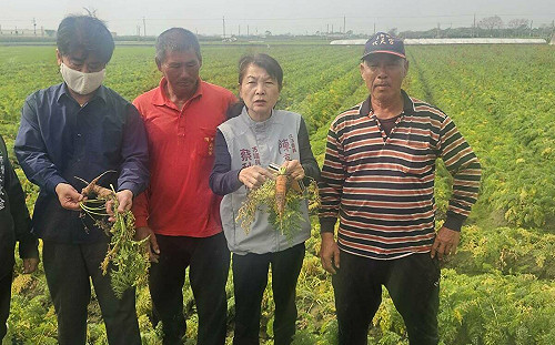 賴清德提台美雙邊零關稅  農民憂生計恐受影響 