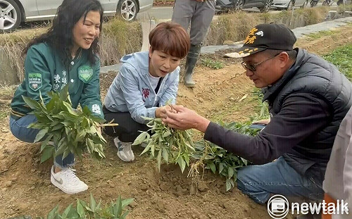 地瓜寒害災損嚴重  陳亭妃通報農業部儘速協助農民