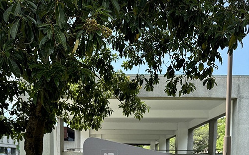 228事件在新竹痕跡旭橋不義遺址  市府設解說牌