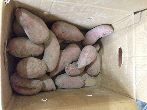 NG醜蔬果仍是農民心血 農會超市網路優惠賣