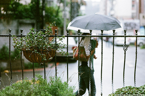天鴿最快中午發陸警  東半部注意風雨