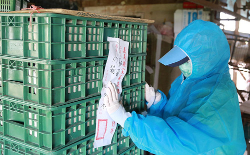 終於可以安心吃！全台44蛋雞場問題蛋全數封存