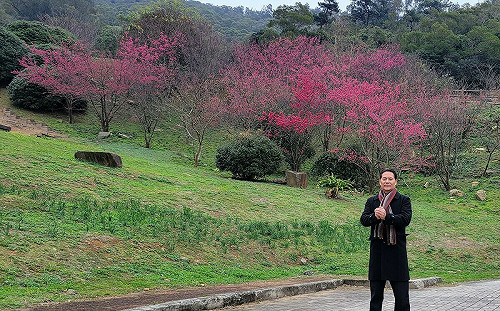 國境之北馬祖向南台灣招手 春有櫻花季、秋有國際藝術島
