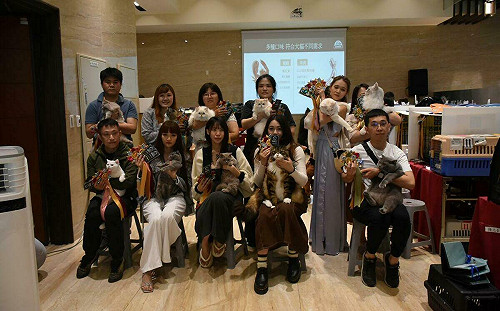 全台最大國際貓展登場  超過200隻萌貓攻佔南台灣