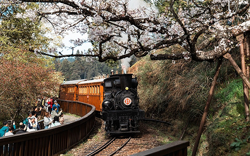 觀光署Taiwan PASS再升級！即日起新增3款「限量景點優惠」