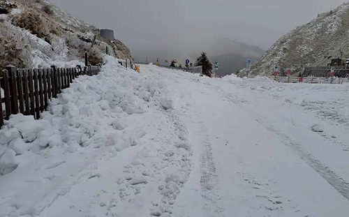 合歡山再下探0度以下！清晨積雪達11.5公分厚 呈現超美雪景