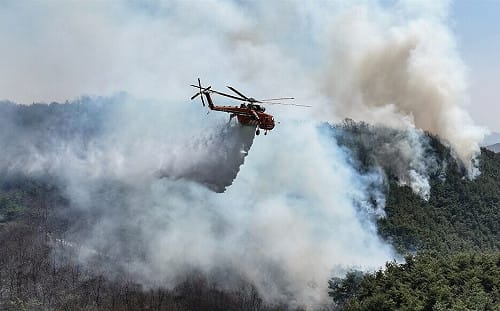 韓國各地野火延燒 至少燒掉7205個足球場