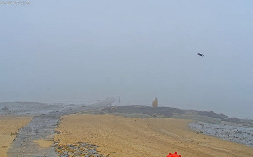 能見度不到200公尺！金門、馬祖濃霧影響 暫停起降