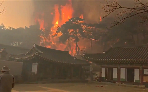 (影) 宛如人間煉獄! 韓國東南部山火肆虐22死19傷 千年寺廟也遭摧毀