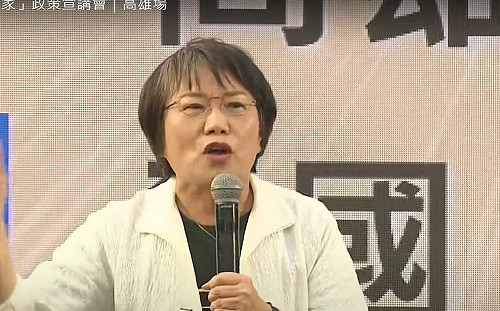 綠宣講高雄登場 劉世芳轟：民眾黨就是100％的另一種國民黨