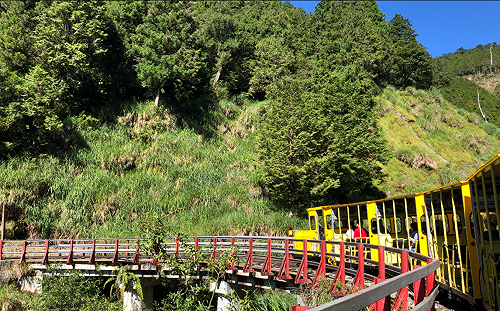 兒童節限定！全台13處國家森林遊樂區  12歲以下免費入園