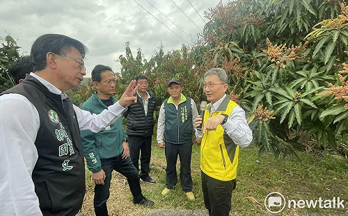 極端氣候影響酪梨芒果著果率 郭國文、林俊憲會勘爭取災損補助