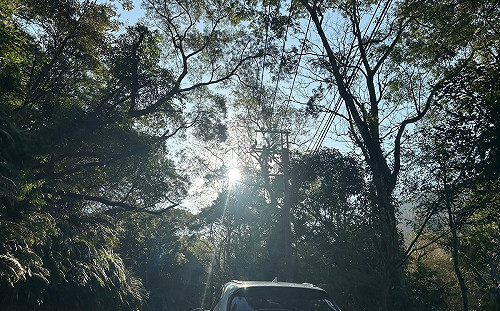 明持續湧入出遊車潮！省道觀光風景區易塞路段這裡看