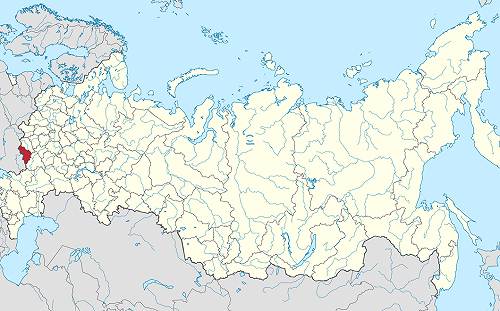 首度證實烏軍攻進俄國別爾哥羅德州 澤連斯基:繼續在敵境行動