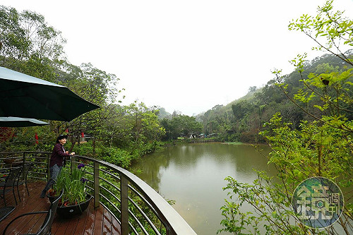 用五感體驗新竹峨眉！「沽月日光」推出炭香窯烤麵包與蒸餾左手香純露課程　感受土地療癒力
