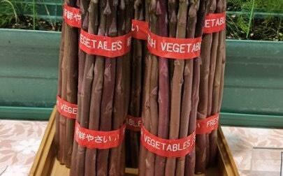 台灣種出本土「紫蘆筍」！新種「台南5號」助產業升級