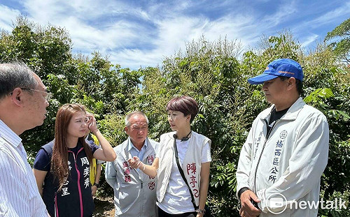 陳亭妃會勘台南龍眼荔枝災損  籲產區區公所主動協助通報