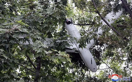 我們不要理睬它！北韓提「這要求」 慘遭國際民航組織駁回.....