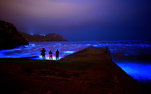 高馬直飛航線6月6日啟航  夏fun海島卡蹓趣 